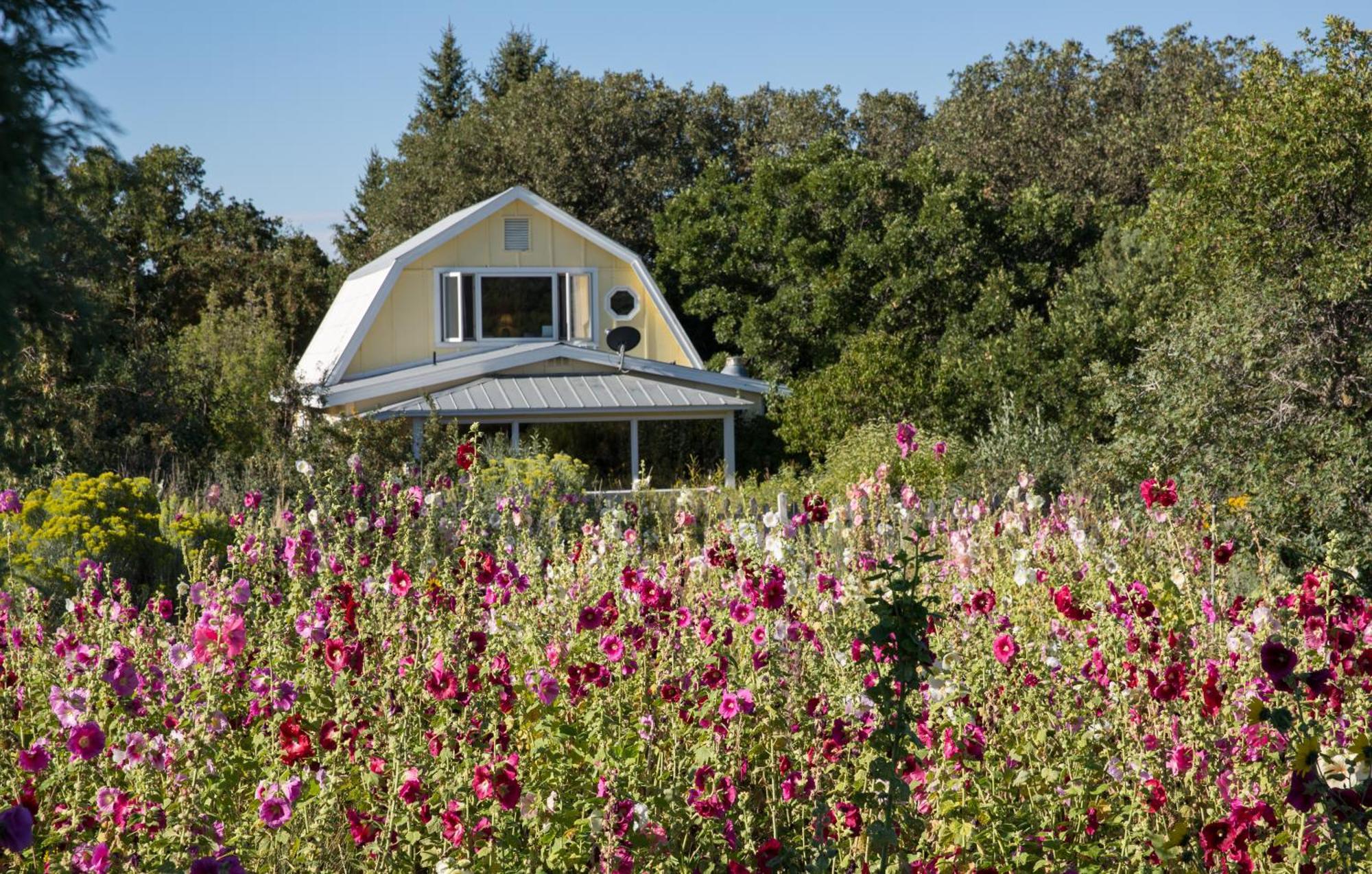 Blue Lake Ranch Hesperus Extérieur photo